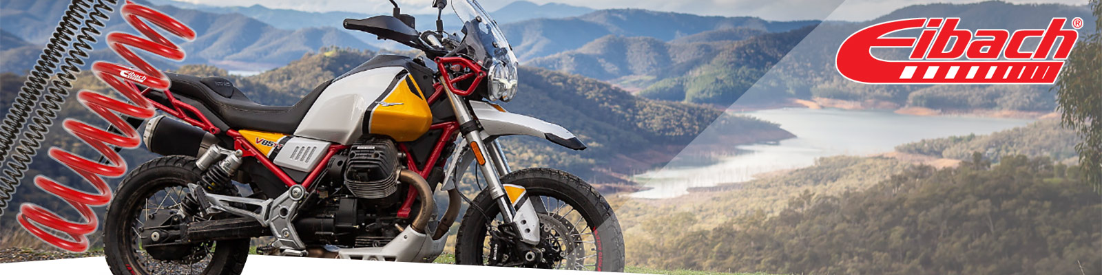 Eibach Motorcycle Springs
