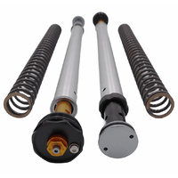 Andreani Adjustable Cartridge kit MISANO EVO Honda CBR 600 F/Sport 2002