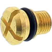 Fork Top Cap Air Valve Bleed Screw Complete - PSF1