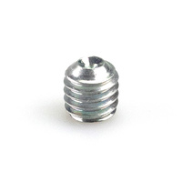 Fork Innertube Securing Screw - M6 x 6