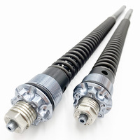Andreani Adjustable Cartridge kit MISANO (2 lt olio) Harley Davidson Dyna Low Rider  2006-17