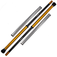 Andreani Adjustable Cartridge kit RALLY RACE Yamaha TENERE 700 + 30mm 2019-