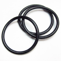 44mm Piston O-Ring image