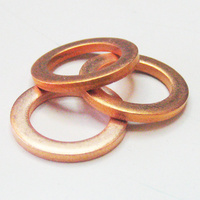 10mm Oil Sealing Washer 