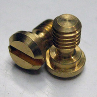 Fork Cap Bleed Screw (NLA use  110090000601) 
