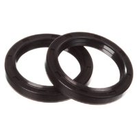 38-50-7/8 TC4 - XRP Fork Seal Kit (029)