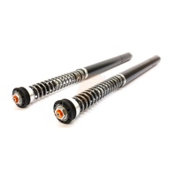 TracTive X-CELLENT BMW S1000RR 2015-2018 Front Cartridge kit