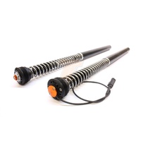 TracTive  eX-TREME Fork Cartridge kit BMW R 1200 RS