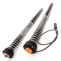 eX-CELLENT Fork Cartridges for BMW S1000RR (2015 - 2019) - with Frequency Sensitive Active Damper function 