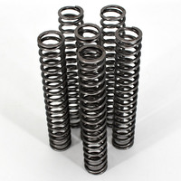 Tractive Suspension BMW S1000RR 2019-on Cartridge Spring Kit