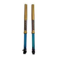 Showa GPE Front forks Works Ducati Desmo 450