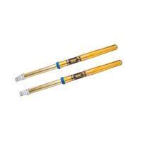 Ohlins RXF 48 Front Fork MX & Enduro FFX 0202 Common Fitment CRF250R 2018-2022