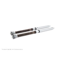 Ohlins FGK224 NIX 30 Front Suspension Cartridge Common Fitment Ducati 2015-2017 1299 Panigale