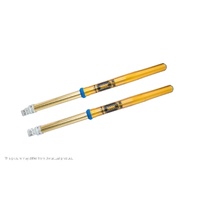 Ohlins FGKT2186 RXF 48 S Front Common Fitment Gas Gas 2021 EC 350F