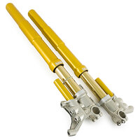 Ohlins FGR171 FGR 100 Fork Complete Front for Suzuki GSX-R 1000