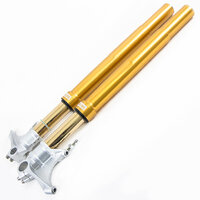 Ohlins FGR252 FGR 250 Fork Complete Front for Yamaha YZF R1, YZF R6