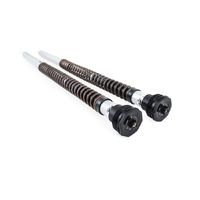 Ohlins FKA115 NIX 30 Adventure Front Cartridge Kit Common Fitment Aprilia 2025 Tuareg 660 Rally