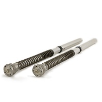 Ohlins FKS509 NIX 30 Street Front Suspension Cartridge Common Fitment BMW 2014-2016 R nineT