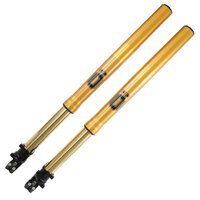 Ohlins FL931 FGRT 200 Fork Complete Front for Yamaha MT-10 SP